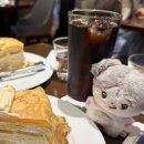 인형뽑아죠! | 앤팀 &amp;TEAM AWAKEN THE BLOODLINE 사이타마 앙콘 후기