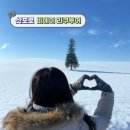 삿포로 비에이 라쿠투어 준비물 준페이 도시락 예약 후기