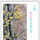 박세자「그대 꽃눈을 이미지