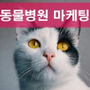 킹콩애드 네이버블로그