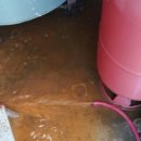 청주남중학교 이미지