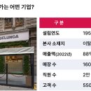 에셀시스템 이미지