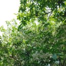 팔봉골프연습장 이미지