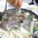 낙지명장 이미지