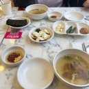 녹두랑전이랑 | 종로5가맛집 광장시장맛집 창신육회 육회,육사시미,녹두전 후기