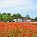 수원-0502 이미지