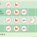 펀라이프 이미지
