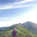 전일주(전국일주)님의 멋진사진 몇장 이미지