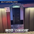 스테이더문 이미지