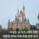 도쿄 디즈니랜드 비오는 날 오픈런 후기, 입장권 가격 DPA 무료 공연 엔트리 리퀘스트 추천 꿀팁