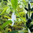 산청여인숙 이미지