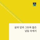 귤과 달과 그토록 많은 날들 속에서 외 1편 / 홍순영 이미지