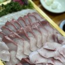 등대활어회식당