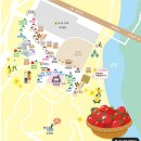 세도 가회리 장군제 이미지