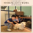 포천 평강랜드 마이애니멀스토리 데이트코스 동물먹이체험 서울근교나들이 포천 아이랑 가볼만한곳