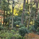 수희재한옥펜션 이미지