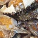 수원-2039 이미지