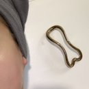 상남로-2 | [끌리메] 창원 에스테틱 작은얼굴 만드는 끌링 관리 리얼 후기