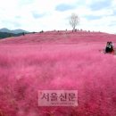 설렘&푸드스토리