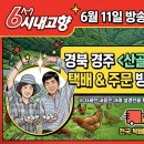[6시내고향 #22] 6월 11일 방송 화제의 그곳! 경북 경주 '산골 청계농장' 택배 및 주문 방법 총정리