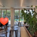 손커피연구소 왕송호수점 이미지