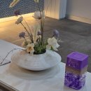 곽승민의원 이미지