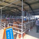 우수축산 이미지