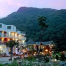 솔레펜션 이미지