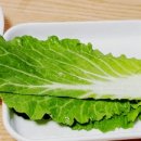 하리벗