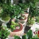 스마일화원 이미지