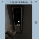 운정 숲 고양이호텔 네이버블로그