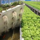 김재철농장 이미지