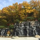 청주대학교 이미지