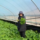 양촌농원 이미지