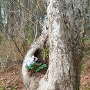 낙동고등학교 이미지