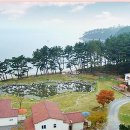 안면도없는펜션