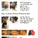 가죽쟁이 이미지
