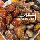 대천해수욕장 시민탑광장 | [대천해수욕장 조개톡톡] 대천 또간집 조개구이맛집 보령 무한리필조개구이 애견동반가능 내돈내산 후기