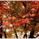 부평공원 이미지