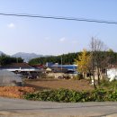 대흥리마을회관 이미지