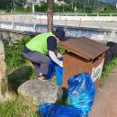 은행나무3길 이미지