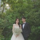 라노비아앤 이미지