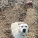 무네미길 이미지