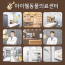 공덕 건강한 동물병원 이미지