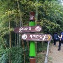 맹종죽테마공원 이미지