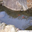 가재미로 이미지