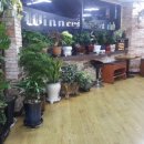 위너스당구클럽 이미지