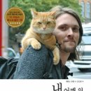 책고양이 이미지