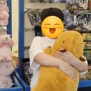 모자슈퍼 - 세종특별자치시 운주산로 1185 | 2026 에버랜드 스피드웨이 슈퍼레이스🚗후기, 자리 부족에 당황했던 이유