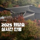 숲실제1소교량 | 25/10/29 화담숲 실시간 다녀온 단풍구경 후기 2탄